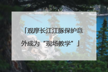 观摩长江江豚保护意外成为“现场教学”