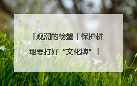 观潮的螃蟹丨保护耕地要打好“文化牌”