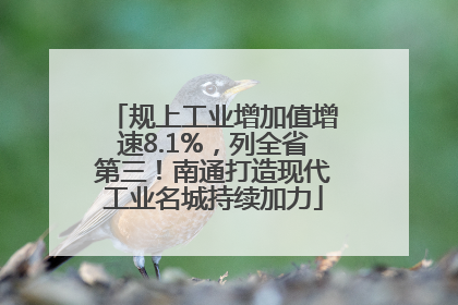 规上工业增加值增速8.1%，列全省第三！南通打造现代工业名城持续加力
