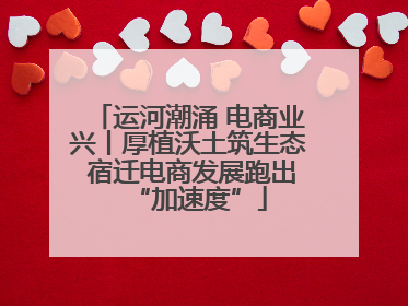 运河潮涌 电商业兴丨厚植沃土筑生态 宿迁电商发展跑出“加速度”
