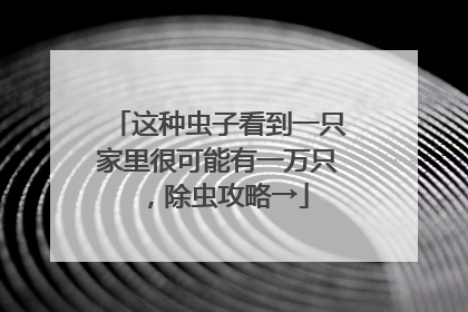 这种虫子看到一只家里很可能有一万只，除虫攻略→