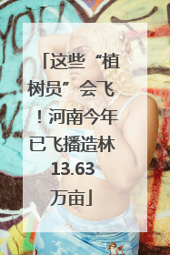 这些“植树员”会飞！河南今年已飞播造林13.63万亩