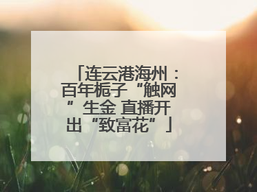连云港海州：百年栀子“触网”生金 直播开出“致富花”