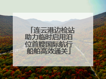 连云港边检站助力临时启用泊位首艘国际航行船舶高效通关