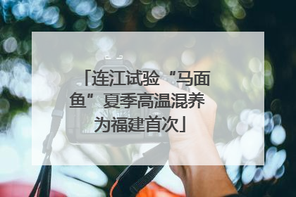 连江试验“马面鱼”夏季高温混养 为福建首次