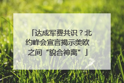 达成军费共识？北约峰会宣言揭示美欧之间“貌合神离”