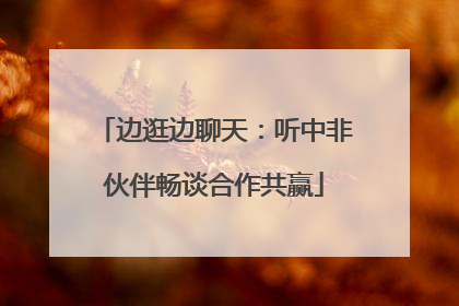 边逛边聊天：听中非伙伴畅谈合作共赢