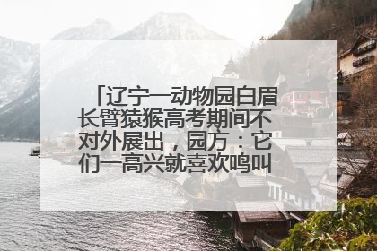 辽宁一动物园白眉长臂猿猴高考期间不对外展出，园方：它们一高兴就喜欢鸣叫，怕影响考试