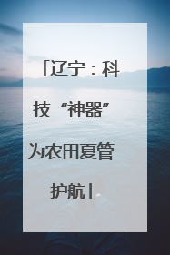 辽宁：科技“神器”为农田夏管护航