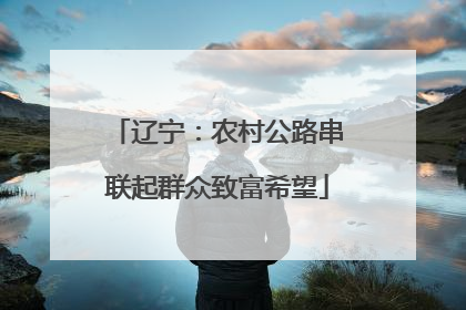 辽宁：农村公路串联起群众致富希望