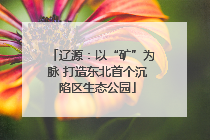辽源：以“矿”为脉 打造东北首个沉陷区生态公园