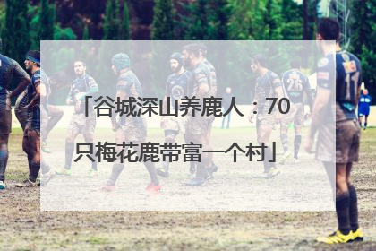 谷城深山养鹿人：70只梅花鹿带富一个村