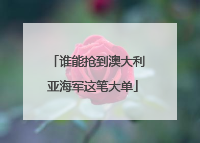 谁能抢到澳大利亚海军这笔大单