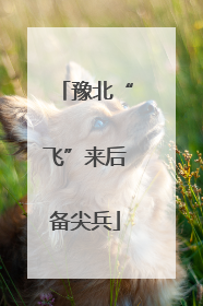 豫北“飞”来后备尖兵