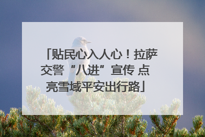 贴民心入人心！拉萨交警“八进”宣传 点亮雪域平安出行路
