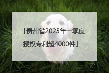 贵州省2025年一季度授权专利超4000件