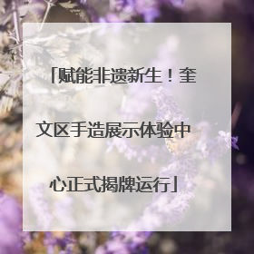 赋能非遗新生！奎文区手造展示体验中心正式揭牌运行