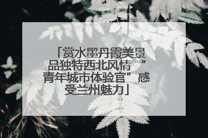 赏水墨丹霞美景 品独特西北风情 “青年城市体验官”感受兰州魅力