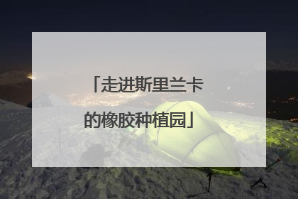 走进斯里兰卡的橡胶种植园