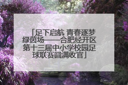 足下启航 青春逐梦绿茵场——合肥经开区第十三届中小学校园足球联赛圆满收官