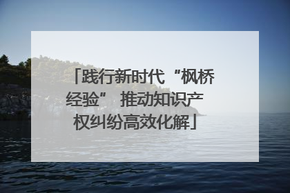 践行新时代“枫桥经验” 推动知识产权纠纷高效化解