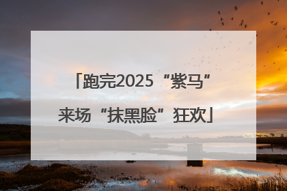 跑完2025“紫马” 来场“抹黑脸”狂欢