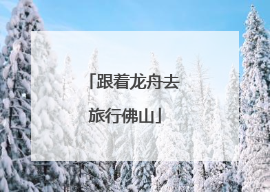 跟着龙舟去旅行佛山