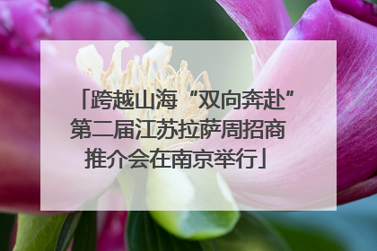 跨越山海“双向奔赴” 第二届江苏拉萨周招商推介会在南京举行