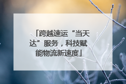 跨越速运“当天达”服务，科技赋能物流新速度
