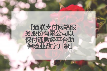 通联支付网络服务股份有限公司以保付通数经平台助保险业数字升级