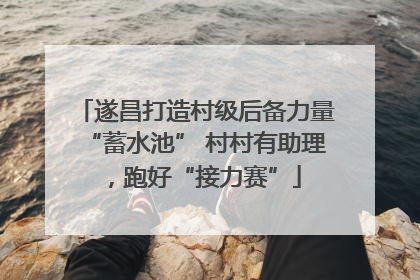 遂昌打造村级后备力量“蓄水池” 村村有助理，跑好“接力赛”