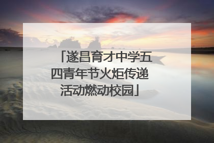 遂昌育才中学五四青年节火炬传递活动燃动校园