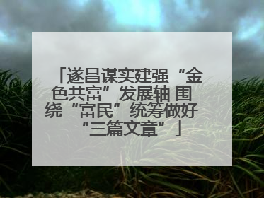 遂昌谋实建强“金色共富”发展轴 围绕“富民”统筹做好“三篇文章”