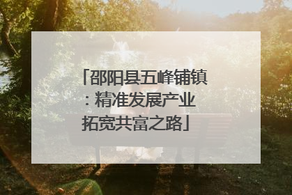 邵阳县五峰铺镇：精准发展产业 拓宽共富之路