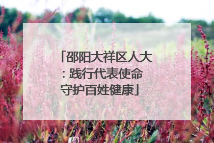 邵阳大祥区人大：践行代表使命 守护百姓健康