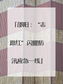 邵阳：“志愿红”闪耀防汛应急一线