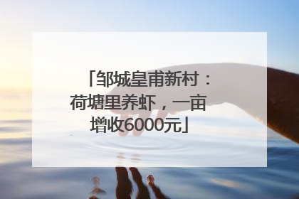 邹城皇甫新村：荷塘里养虾，一亩增收6000元