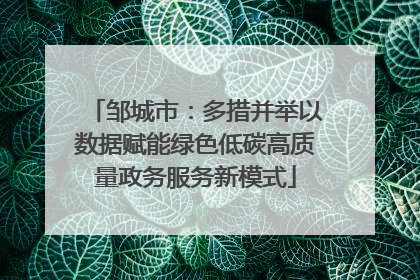 邹城市：多措并举以数据赋能绿色低碳高质量政务服务新模式