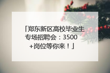 郑东新区高校毕业生专场招聘会：3500+岗位等你来！