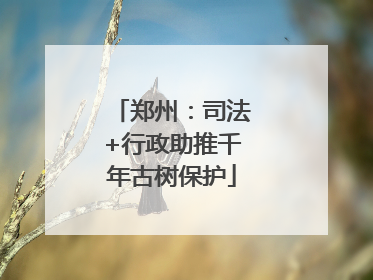 郑州：司法+行政助推千年古树保护