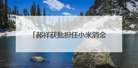 郝祥获批担任小米消金总助兼董秘，小米集团资本版图再现协同扩张