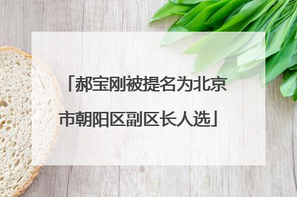 郝宝刚被提名为北京市朝阳区副区长人选