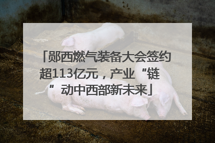 郧西燃气装备大会签约超113亿元，产业“链”动中西部新未来