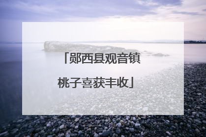 郧西县观音镇桃子喜获丰收