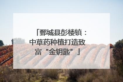鄄城县彭楼镇：中草药种植打造致富“金钥匙”
