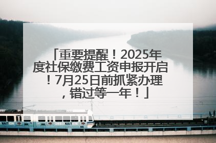 重要提醒！2025年度社保缴费工资申报开启！7月25日前抓紧办理，错过等一年！