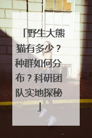 野生大熊猫有多少？种群如何分布？科研团队实地探秘