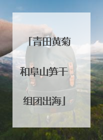 青田黄菊和阜山笋干组团出海
