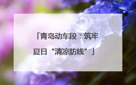 青岛动车段：筑牢夏日“清凉防线”