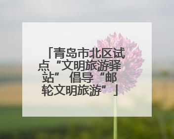 青岛市北区试点“文明旅游驿站” 倡导“邮轮文明旅游”